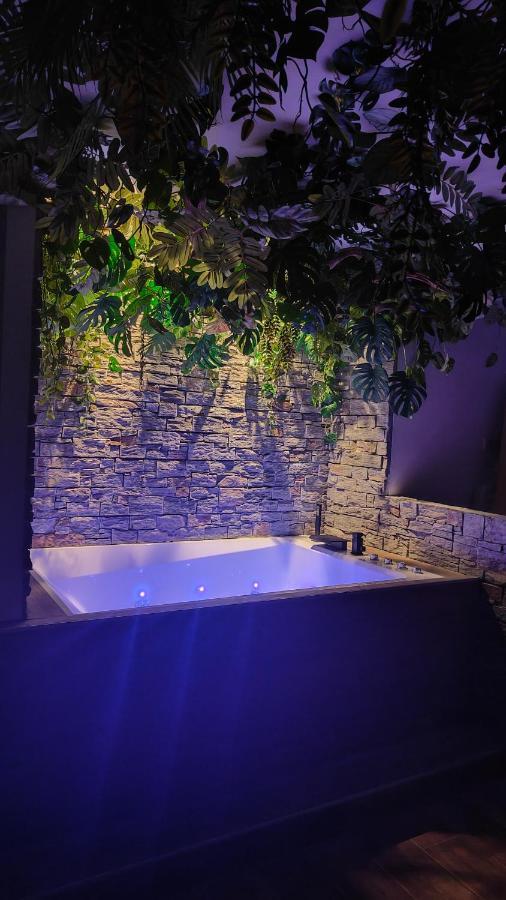 Jungle Room カンヌ エクステリア 写真