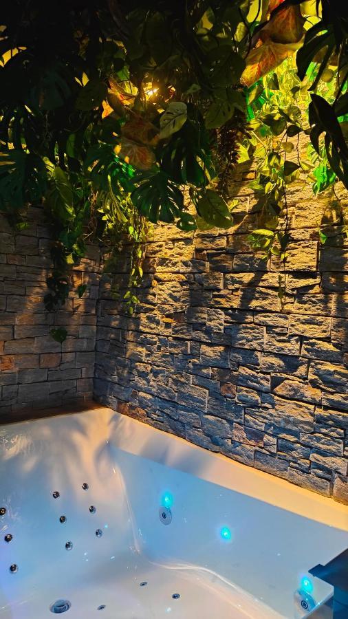 Jungle Room カンヌ エクステリア 写真