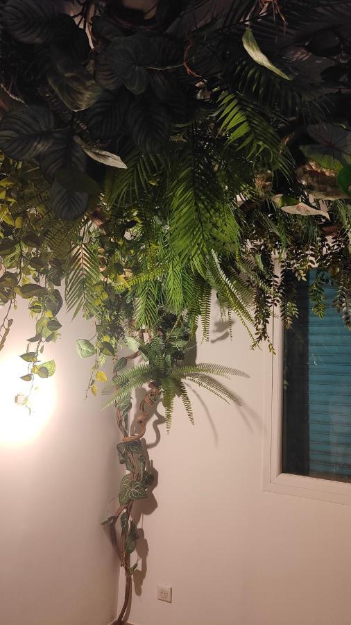 Jungle Room カンヌ エクステリア 写真