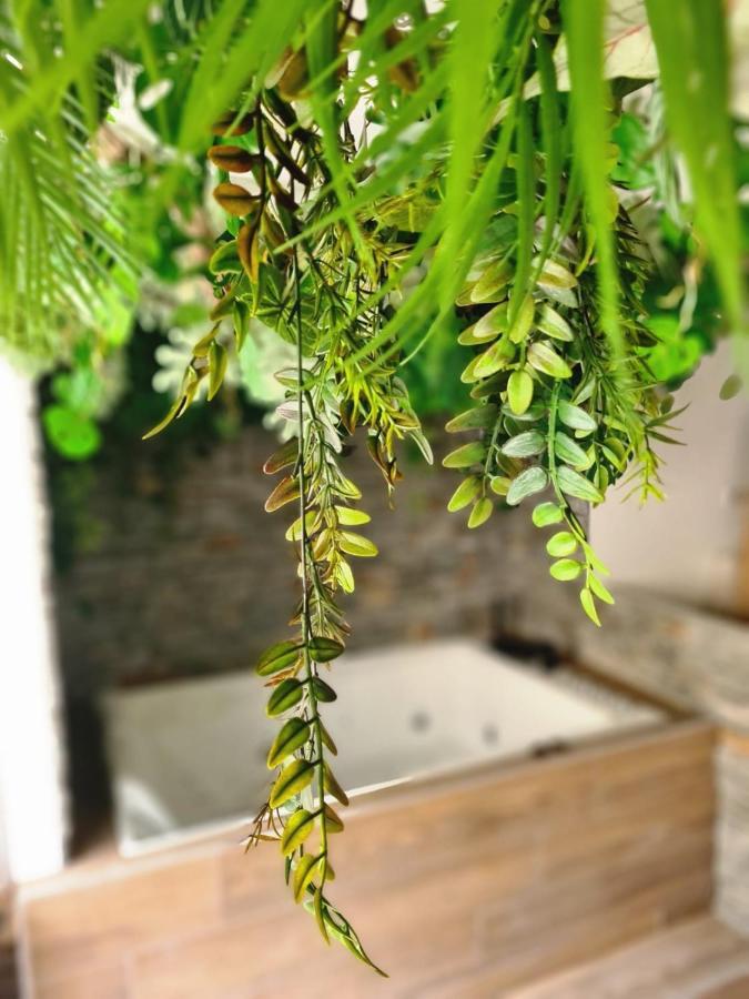 Jungle Room カンヌ エクステリア 写真